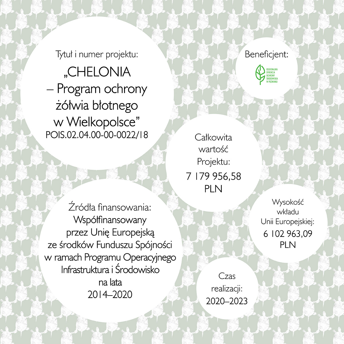 A_21x21_Katalog_Chelonia-WEB-3